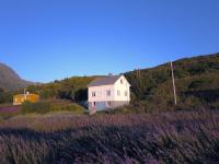 B&B Bøstad - Steinbakk - Vestresand Lofoten - Bed and Breakfast Bøstad