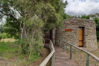 Tintswalo Safari - B&B Manyeleti Game reserve