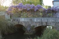 Un petit coin de paradis - B&B Champigny-sur-Veude