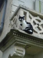 Mistoury - B&B La Tour-Blanche