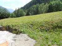 Baita nel verde - cir 0122 - Bed and Breakfast