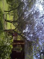 Cabin with Veranda