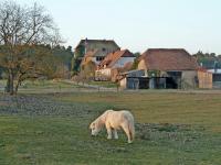 B&B Volkach - Elgersheimer Hof - Bed and Breakfast Volkach