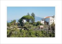 Orsola Maison - B&B Sorrento
