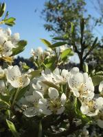 Cashmere Hills B&B - Ferienwohnung Christchurch