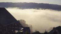 Wilkowka - B&B
