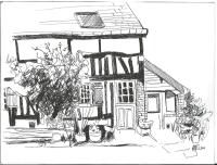 Chambre d'hôtes - Le jardin des Patissons - B&B La Forêt-du-Parc