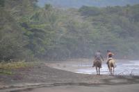 Finca Valeria Treehouses Glamping - Chambres d’hôtes Cocles