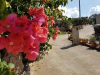 Résidence Assuliu - Ferienwohnung Propriano