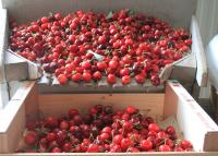 Casa con 3 Camere da Letto