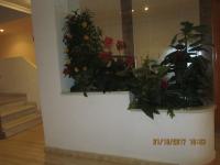 los locos San Pascual - B&B