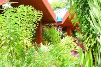 Beach Villa Ukulhas - Ferienwohnung