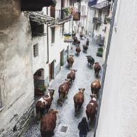 Maison de la montagne - Chambres & Relax - B&B Arvier