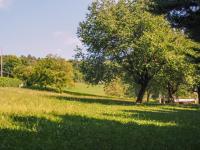 Casa Vacanza Pratolungo - B&B