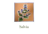 Camera Matrimoniale Standard