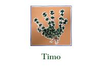 Camera Matrimoniale Deluxe