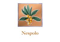 Appartamento Monolocale