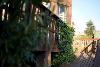 Bungalow mit Gartenblick