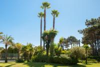 Villa das Palmeiras - B&B Charneca de Caparica