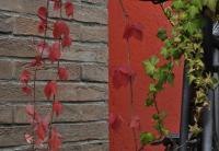 B&B Edera - B&B