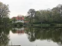 Familiekamer met Sauna