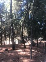 Casa Vacanze Etna - Bed and Breakfast Piedimonte Etneo