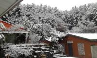 Bluesky Pension - B&B