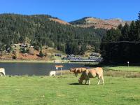 Gite Du Montagnol A Payolle - B&B Sainte-Marie-de-Campan