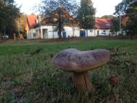 Ferienwohnung Ortrand - Pension - B&B Ortrand