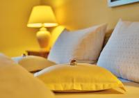 One-Bedroom Apartment - Carolina