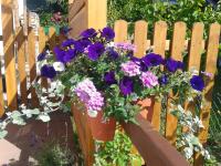 FeWo Am Neckarsteig - B&B Neckarsteinach