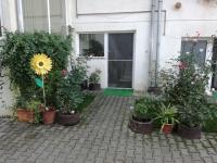 Vila Nely - B&B Râşnov