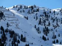 Appartement 1 Chambre