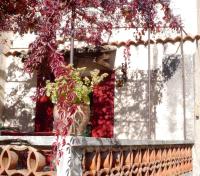 Maison du Manescau - B&B