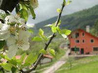Hotel Garvanec, Ferienhöfe - Druzhevo