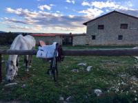 Masia La Casablanca - B&B La Puebla de Valverde