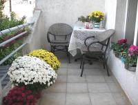 Suite con terraza