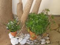 Monolocale (2 Adulti)