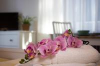 Appartement met Balkon