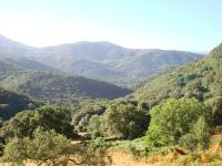 Rez de Villa - B&B Loreto-di-Tallano