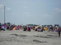 Haus Annegrete mit überdachter Terrasse zum Garten - B&B Bensersiel