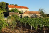 Villa Violić - B&B