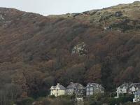 Bluebells guest house - Bed and Breakfast