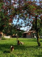 R&B Albero Cavo Parma - B&B Parma