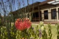 The Riverstone House - Bed and Breakfast