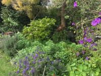Valley Heights Guest House and B & B - B&B