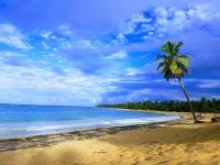 Apartment - Split Level