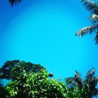 Condominio Village Camburi - B&B