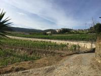 Quinta da Cartida - B&B Santa Marinha do Zêzere