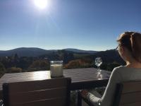 Lina's Ferienwohnungen - zwei moderne FeWos mit Sauna im Haus und fantastischem Ausblick - Ferienwohnung St. Andreasberg